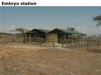 Embryostation