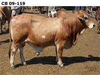 CB09-119