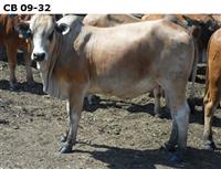 CB09-32